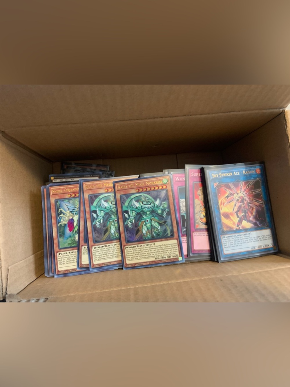 YuGiOh Bulk Box